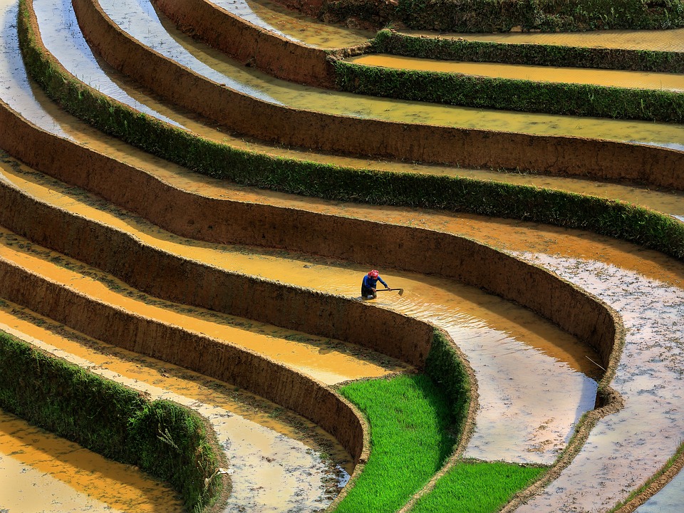 HÀNH TRÌNH TÂY BẮC. NGHĨA LỘ-MÙ CANG CHẢI-SAPA-CHỢ BẮC HÀ